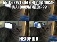 быть крутым и не подписан на акваиум идей??? нехоршо