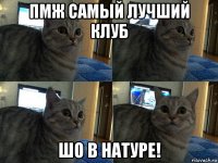 пмж самый лучший клуб шо в натуре!