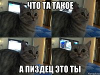 что та такое а пиздец это ты