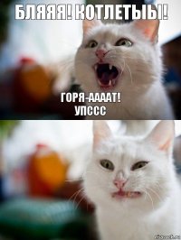 БЛЯЯЯ! КОТЛЕТЫЫ! ГОРЯ-ААААТ!
УПССС