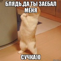 блядь,да ты заебал меня сучка)0