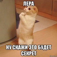 лера ну скажи это будет секрет