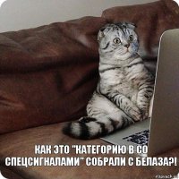 как это "Категорию В со спецсигналами" собрали с Белаза?!