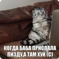 когда баба прислала пизду,а там хуй (с)