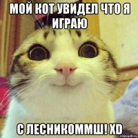 мой кот увидел что я играю с лесникоммш! xd