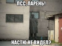 псс, парень! настю не видел?