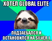 хотел global elite подзаебался и остановился на silver 1