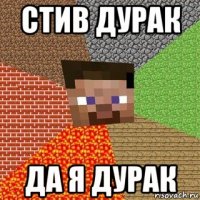 стив дурак да я дурак