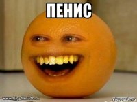 пенис 