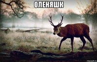 оленяшк 