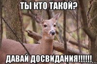 ты кто такой? давай досвидания!!!!!!