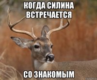 когда силина встречается со знакомым