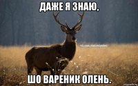 даже я знаю, шо вареник олень.