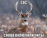 сос снова включили читы