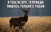 я тебе не вру... я правда пишусь только с тобой 