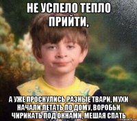 не успело тепло прийти, а уже проснулись разные твари, мухи начали летать по дому, воробьи чирикать под окнами, мешая спать