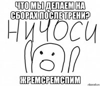 что мы делаем на сборах после трени? жремсремспим