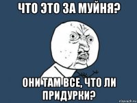 что это за муйня? они там все, что ли придурки?