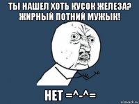 ты нашел хоть кусок железа? жирный потний мужык! нет =^-^=