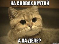 на словах крутой а на деле?