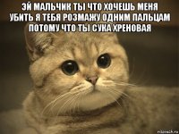 эй мальчик ты что хочешь меня убить я тебя розмажу одним пальцам потому что ты сука хреновая 