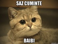 saz cuminte baibi