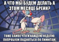 а что мы будем делать а этом месяце брейн? тоже самое что и каждую неделю. попробуем подняться по лимитам.