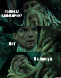 Пробовал кальмарчик? Нет На пожуй