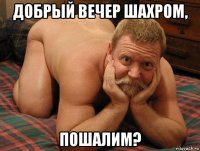 добрый вечер шахром, пошалим?