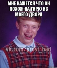 мне кажется что он похож на тирю из моего двора 