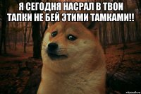 я сегодня насрал в твои тапки не бей этими тамками!! 