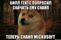 билл гейтс попросил скачать ему скайп теперь скайп microsoft