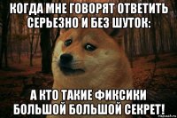 когда мне говорят ответить серьезно и без шуток: а кто такие фиксики большой большой секрет!