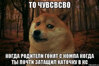 то чувсвсво когда родители гонят с компа когда ты почти затащил каточку в кс