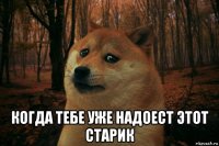  когда тебе уже надоест этот старик