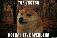 то чувство когда нету вареньеца