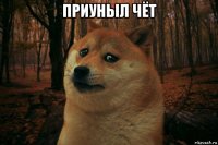 приуныл чёт 