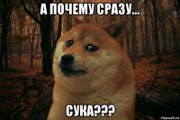 а почему сразу... сука???