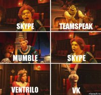 Skype TeamSpeak Mumble Skype Ventrilo VK