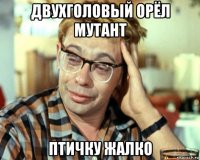 двухголовый орёл мутант птичку жалко