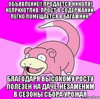 объявление!! продается николя! неприхотлив, прост в содержании, легко помещается в багажник. благодаря высокому росту полезен на даче, незаменим в сезоны сбора урожая