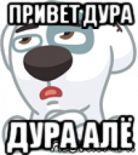 привет дура дура алё