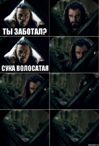 Ты заботал?  Сука волосатая     