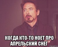  когда кто-то ноет про апрельский снег