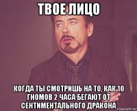 твое лицо когда ты смотришь на то, как 10 гномов 2 часа бегают от сентиментального дракона