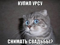 купил урсу снимать свадьбы?