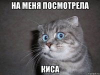 на меня посмотрела киса