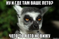 ну и где там ваше лето? чего-то я его не вижу