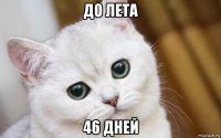 до лета 46 дней