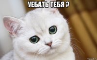 уебать тебя ? 